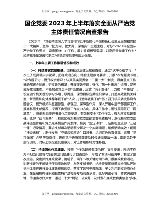 国企党委2023年上半年落实全面从严治党主体责任情况自查报告