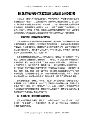 国企党委提升党支部建设质量经验做法