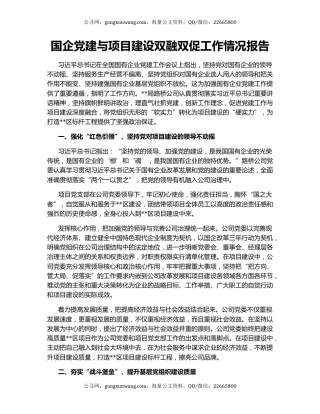 国企党建与项目建设双融双促工作情况报告