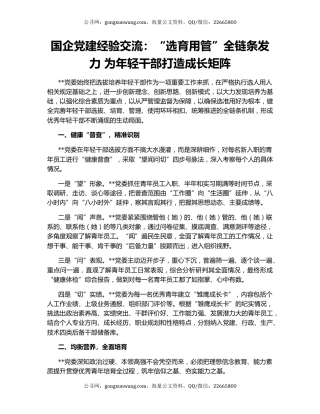 国企党建经验交流：“选育用管”全链条发力 为年轻干部打造成长矩阵