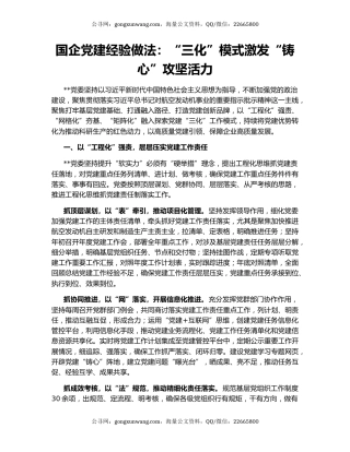 国企党建经验做法：“三化”模式激发“铸心”攻坚活力