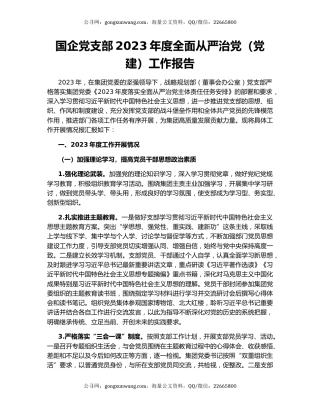 国企党支部2023年度全面从严治党（党建）工作报告
