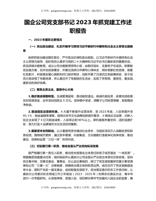 国企公司党支部书记2023年抓党建工作述职报告