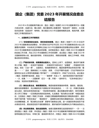 国企（集团）党委2023年开展情况自查总结报告