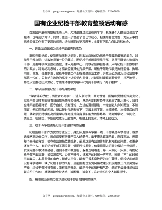 国有企业纪检干部教育整顿活动有感