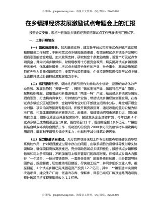 在乡镇抓经济发展激励试点专题会上的汇报