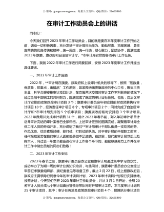 在审计工作动员会上的讲话