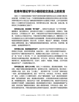 在青年理论学习小组经验交流会上的发言
