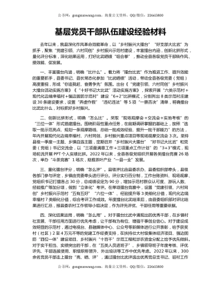 基层党员干部队伍建设经验材料