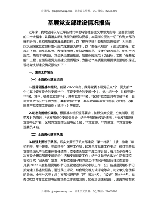 基层党支部建设情况报告