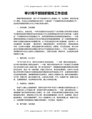 审计局干部挂职锻炼工作总结