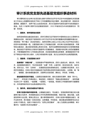 审计系统党支部先进基层党组织事迹材料