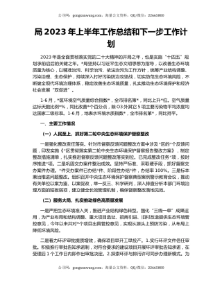 局2023年上半年工作总结和下一步工作计划