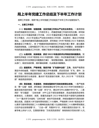 局上半年党建工作总结及下半年工作计划
