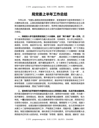 局党委上半年工作总结