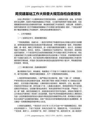 局党建基础工作大排查大规范自检自查报告