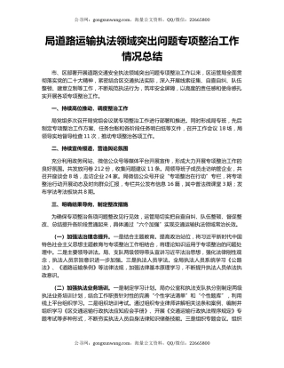 局道路运输执法领域突出问题专项整治工作情况总结