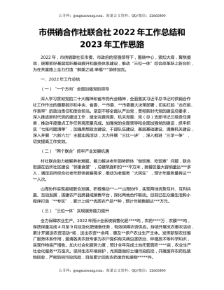 市供销合作社联合社2022年工作总结和2023年工作思路