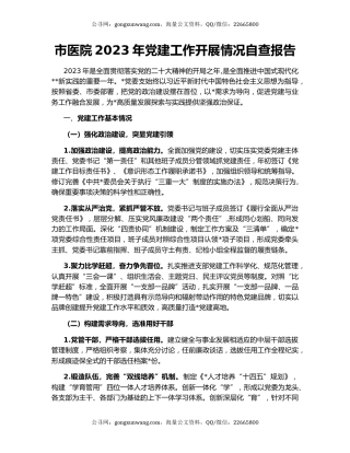 市医院2023年党建工作开展情况自查报告