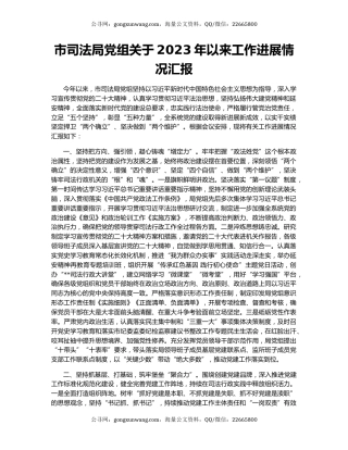 市司法局党组关于2023年以来工作进展情况汇报