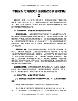 市国企公司党委关于巡察整改进展情况的报告