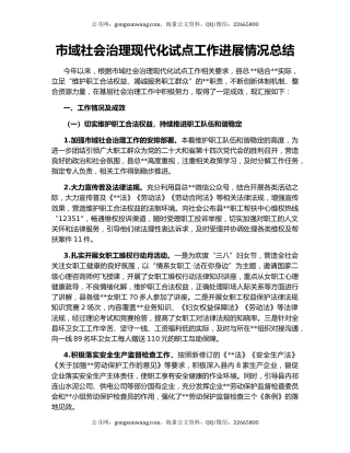 市域社会治理现代化试点工作进展情况总结