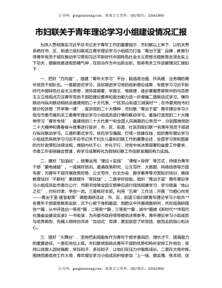 市妇联关于青年理论学习小组建设情况汇报