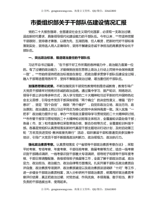 市委组织部关于干部队伍建设情况汇报