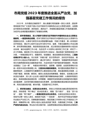 市局党组2023年度推进全面从严治党、加强基层党建工作情况的报告