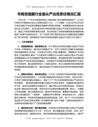 市局党组履行全面从严治党责任情况汇报