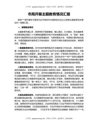 市局开展主题教育情况汇报