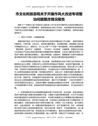 市文化和旅游局关于开展作风大改进专项整治问题整改情况报告