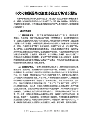 市文化和旅游局政治生态自查分析情况报告