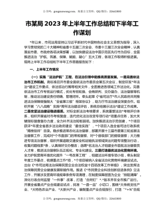 市某局2023年上半年工作总结和下半年工作谋划