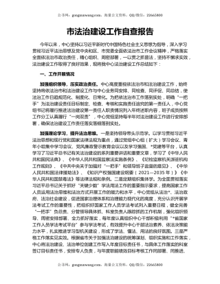 市法治建设工作自查报告