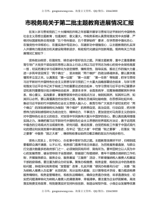 市税务局关于第二批主题教育进展情况汇报