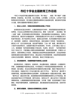 市红十字会主题教育工作总结