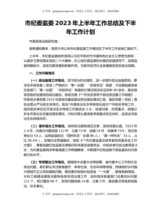市纪委监委2023年上半年工作总结及下半年工作计划