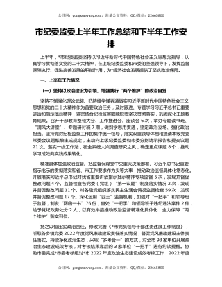 市纪委监委上半年工作总结和下半年工作安排