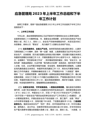 应急管理局2023年上半年工作总结和下半年工作计划