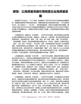 感悟：以高质量党建引领民营企业高质量发展