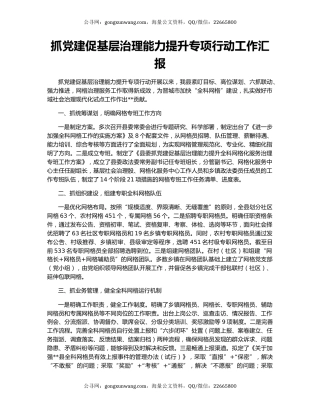 抓党建促基层治理能力提升专项行动工作汇报（2）