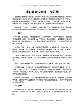 挂职副区长锻炼工作总结