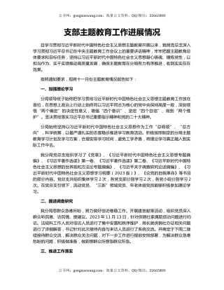 支部主题教育工作进展情况