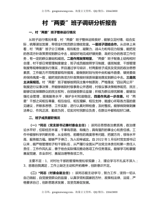 村“两委”班子调研分析报告