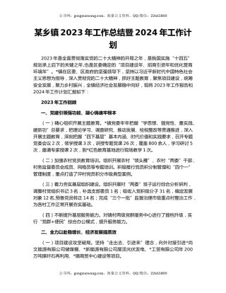 某乡镇2023年工作总结暨2024年工作计划