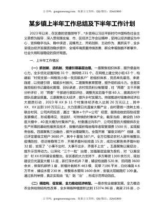 某乡镇上半年工作总结及下半年工作计划