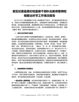 某区纪委监委纪检监察干部队伍教育整顿检视整治环节工作情况报告