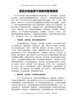 某区纪检监察干部教育整顿感悟