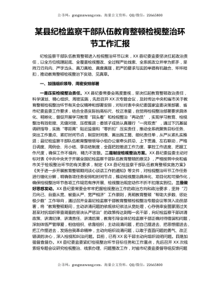 某县纪检监察干部队伍教育整顿检视整治环节工作汇报